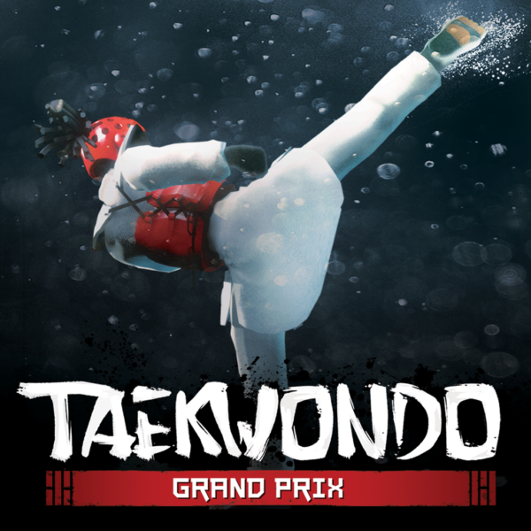 Read more about the article Taekwondo Grand Prix
